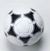 王欣瑜,横扫对手,印第安维尔,世界杯预测,2026世界杯,赛果分析,球队表现,赛事动态